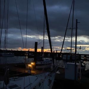 Meet your Posher, Ricky